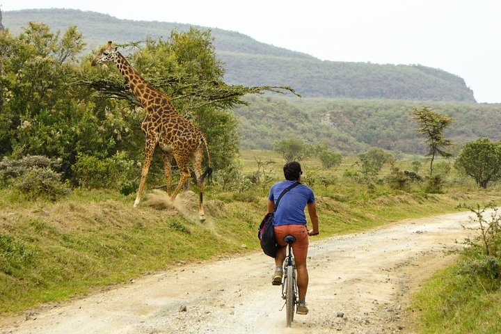 Tour Image